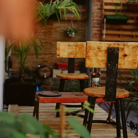 Vandrerhjem Lemon House