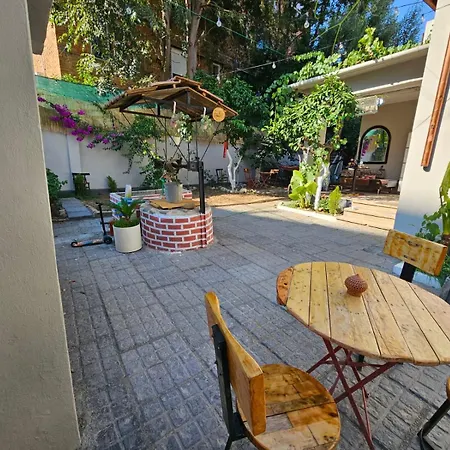 Lemon House *