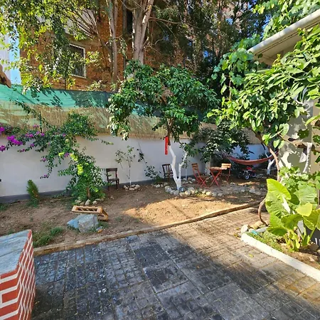 Lemon House Hostel *